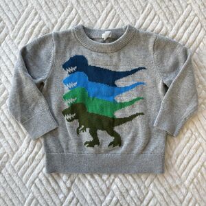 Baby Gap Baby Dinosaur Graphic Sweater - 18-24 months